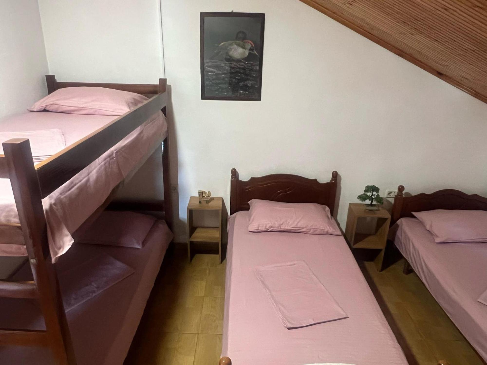Happy Corner Guest House شكودر المظهر الخارجي الصورة