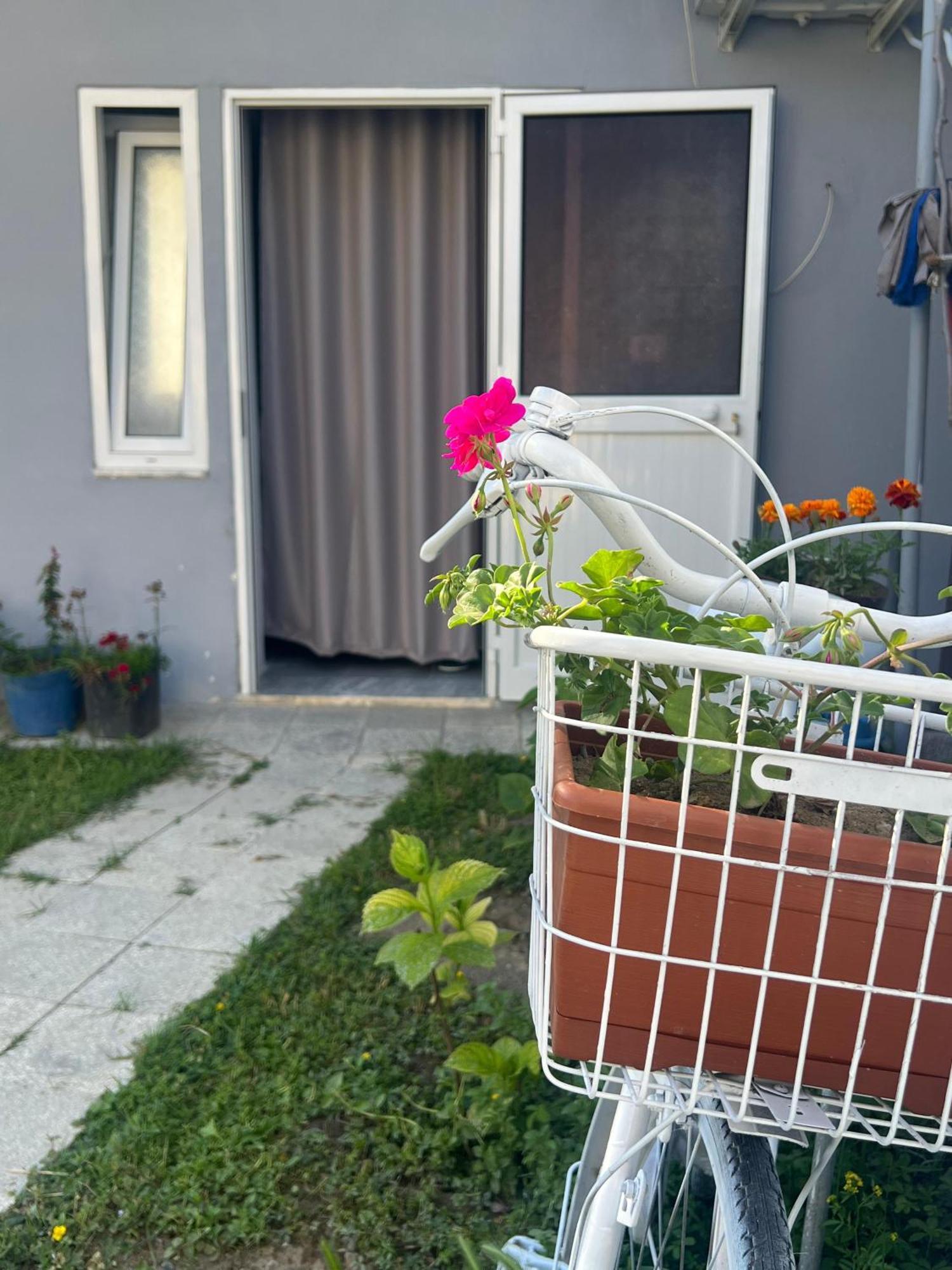 Happy Corner Guest House شكودر المظهر الخارجي الصورة
